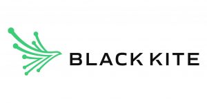 Black Kite